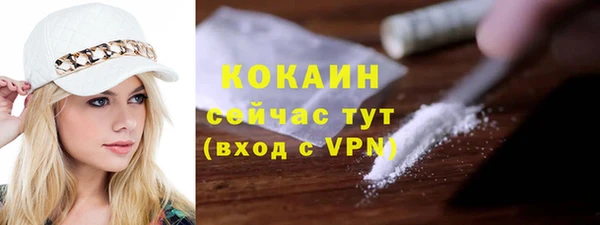 трава Бородино